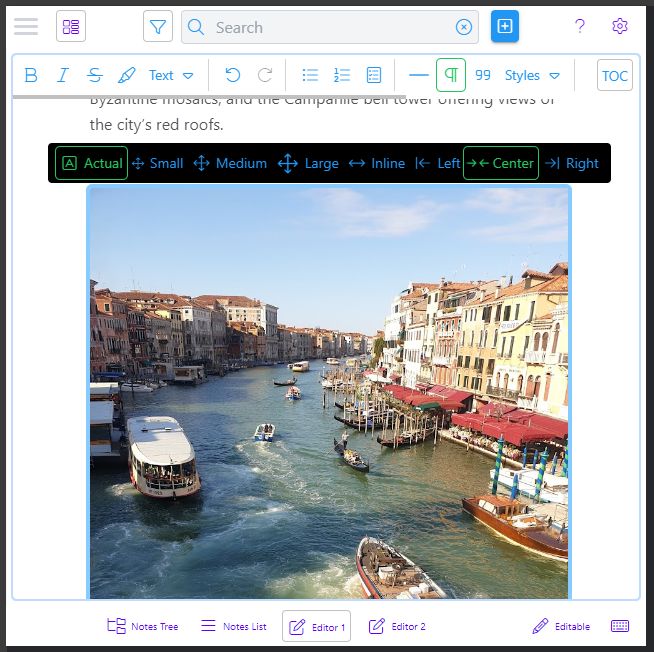 Clibu Notes Editor - Image Resize Toolbar